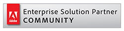 Adobe Solution Partner